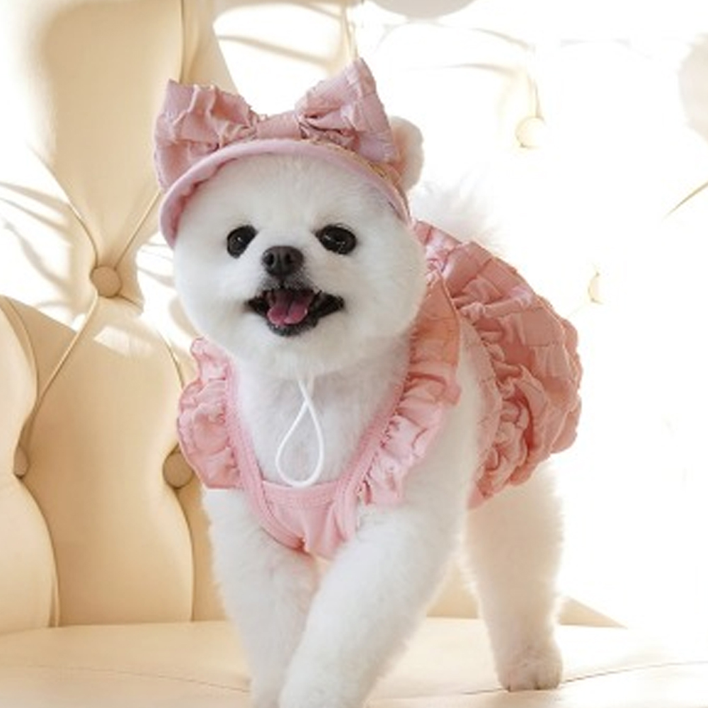 강아지원피스 패리스독 팝콘 볼륨 드레스 세트